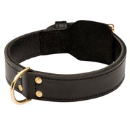 Training 2 Ply Leather Swiss Mountain Dog Collar