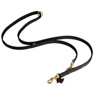 Nylon Swiss Mountain Dog Leash for Patrolling, Walking and Training