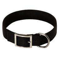2 Ply Nylon Swiss Mountain Dog Collar