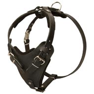 Protection Leather Swiss Mountain Dog Harness for Attack / Agitation Dog Training