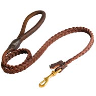 Swiss Mountain Dog Leather Braided Dog Leash