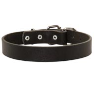 Swiss Mountain Dog Leather Dog Collar For Pleasant Wearing