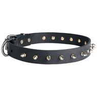 Swiss Mountain Dog Leather Collar Spiked 30 mm