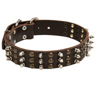 Swiss Mountain Dog Spikes and Studs Rows Leather Dog Collar