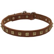 Handcrafted 1 Row Square Studded Leather Swiss Mountain Dog Collar