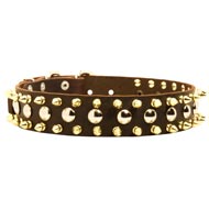 Spiked and Studded Swiss Mountain Dog Leather Collar