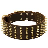 Wide Spiked Leather Swiss Mountain Dog Collar