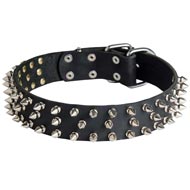 Leather Swiss Mountain Dog Collar with 3 Rows of Nickel Spikes