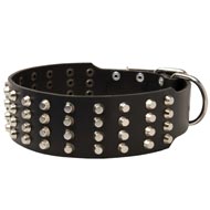 Extra Wide 4 Rows Studded Leather Swiss Mountain Dog Collar
