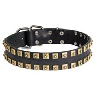 2 Rows Brass Studded Leather Swiss Mountain Dog Collar for Walking and Training