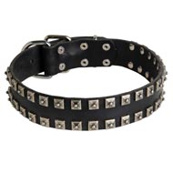 New Leather Swiss Mountain Dog Collar - Fashion Exclusive Design - "Caterpillar"