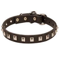 Swiss Mountain Dog Leather Collar Caterpillar Design