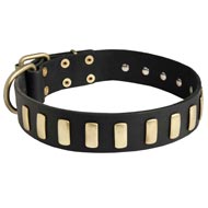 Fancy Leather Swiss Mountain Dog Collar with Brass Plates