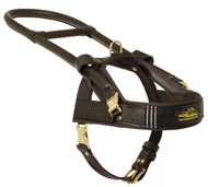 Guide and Assistance Leather Swiss Mountain Dog Harness