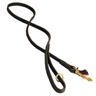 Handcrafted Leather Swiss Mountain Dog Leash for Walking and Tracking