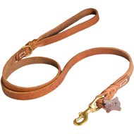 Walking and Training Leather Swiss Mountain Dog Leash with Comfy Handle