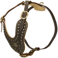 Royal Design Leather Swiss Mountain Dog Harness with Brass Studs