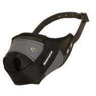Protection Training Swiss Mountain Dog Muzzle Made of Nylon and Leather