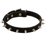 Swiss Mountain Dog Leather Collar Spiked 3/4 Inch