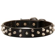 Fancy Design Leather Swiss Mountain Dog Collar with Nickel Pyramids