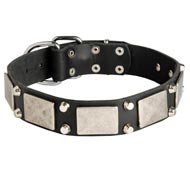 Leather Swiss Mountain Dog Collar Decorated with Nickel Cones and Plates