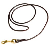 Show dog lead hotsell