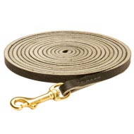 Long Leather Swiss Mountain Dog Leash for Tracking, Training and Walking