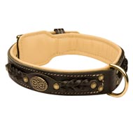 Swiss Mountain Dog Leather Collar Braided