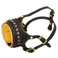 Open Nose Studded Leather Swiss Mountain Dog Muzzle With Nappa Padding