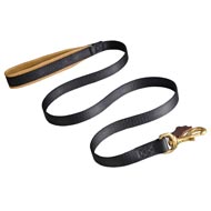 No Rubbing Nylon Swiss Mountain Dog Leash with Support Leather Material on the Handle