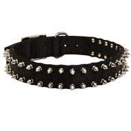 Swiss Mountain Dog Nylon Collar Spiked