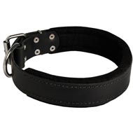 Swiss Mountain Dog Durable Padded Leather Collar 40 mm