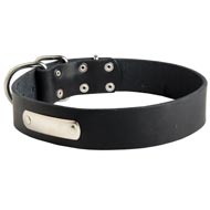 Classic Leather Swiss Mountain Dog Collar with Identification Tag