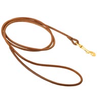 Round Leather Swiss Mountain Dog Leash for Dog Shows
