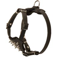 Durable Spiked Leather Puppy Swiss Mountain Dog Harness