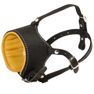 Snout Short Leather Swiss Mountain Dog Muzzle Padded with Nappa Leather