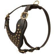 Adjustable Studded Leather Swiss Mountain Dog Harness for Fashion Walking