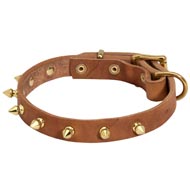 Walking Designer Leather Swiss Mountain Dog Collar with Brass Spikes