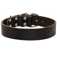 Wide Leather Swiss Mountain Dog Collar for Training and Walking