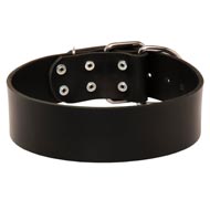 Extra Wide Leather Swiss Mountain Dog Collar for Professional Training
