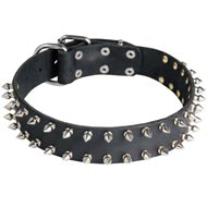 Leather Swiss Mountain Dog Collar with 2 Rows of Nickel Spikes