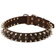 3 Rows Leather Spiked and Studded Swiss Mountain Dog Collar
