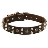 Leather Swiss Mountain Dog Collar With Studs and Pyramids