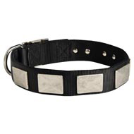 Nylon Swiss Mountain Dog Collar Massive Nickel Plates
