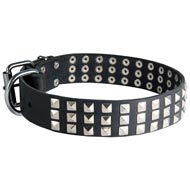 Leather Swiss Mountain Dog Collar with 3 Rows of Nickel Pyramids