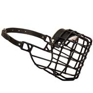 Frost-Resistant Wire Cage Swiss Mountain Dog Muzzle with One Adjustable Strap
