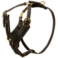 Padded Leather Swiss Mountain Dog Harness for Agitation Training