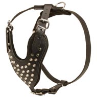 Adjustable Leather Swiss Mountain Dog Harness Studded for Fashion Walking