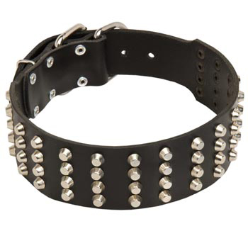 2 Inches Leather   Swiss Mountain Dog Collar Extra Wide Studded