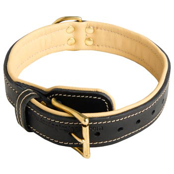 Swiss Mountain Dog Collar Padded Adjustable for Dog Walking, Training